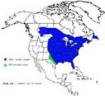 map of blue jay territory range in the USA