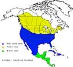 killdeer range map